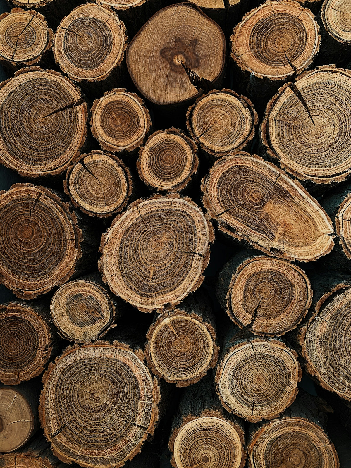 brown wooden logs in close up photography